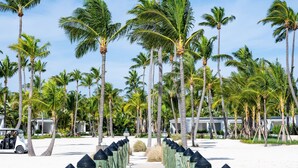 A wooden pier leading to a beach with palm trees and a row of beach huts. - Islander Resort (Islamorada)