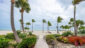 A paved pathway leading to a beach with palm trees and a view of the ocean. - Islander Resort (Islamorada)