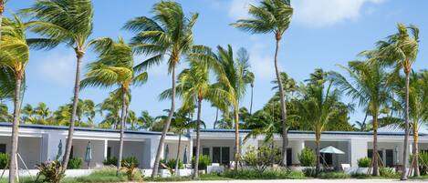 A beachfront hotel with multiple rooms, palm trees, and a sandy beach.