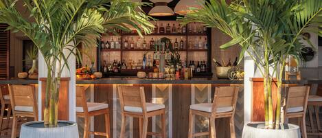 Una zona de bar con mostrador de madera, taburetes y plantas en macetas.