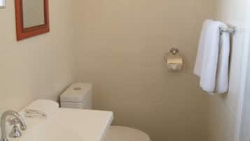 Un baño con lavabo, inodoro y ducha.