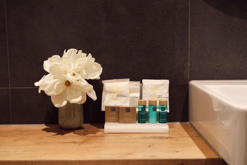 junior studio suite, 1 king bed | bathroom | eco-friendly toiletries, hair dryer, towels, soap