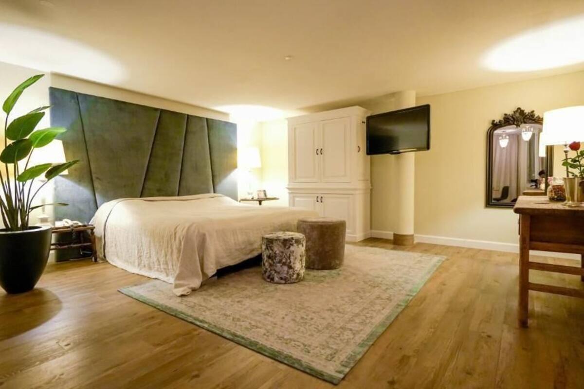 A bedroom with a bed, a potted plant, a bedside table, a mirror, and a TV mounted on the wall.
