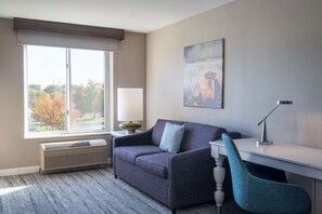 Room, 1 King Bed with Sofa bed