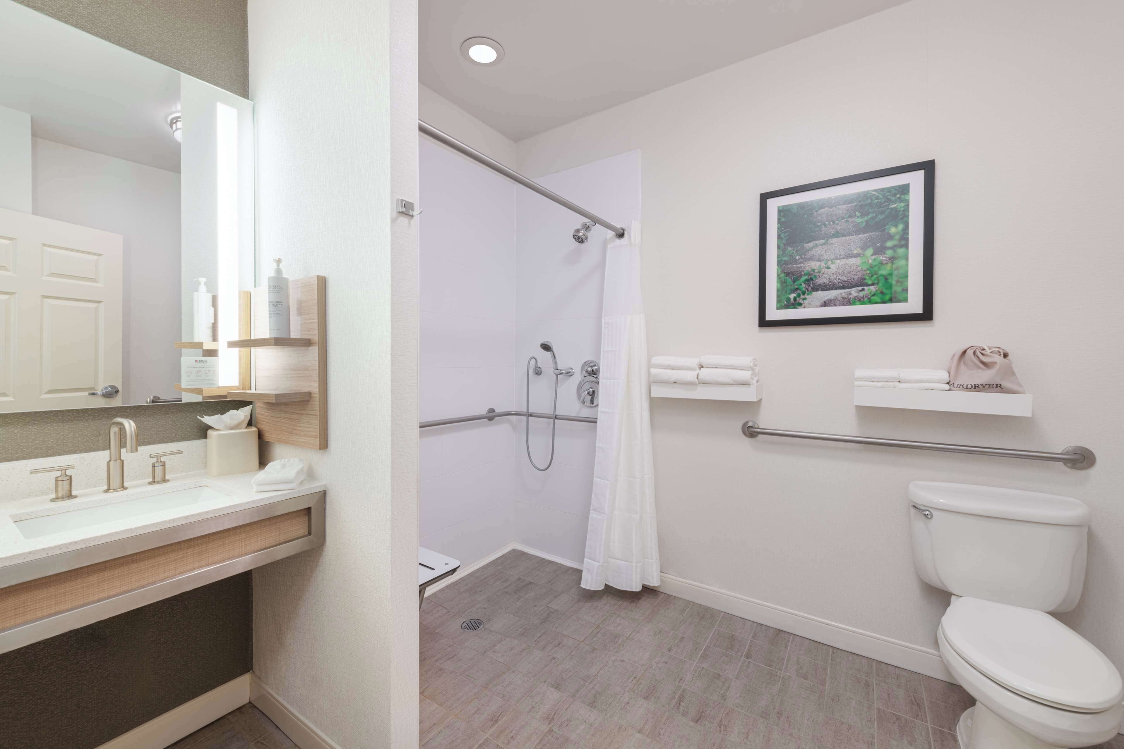 room, 1 king bed, accessible | bathroom shower