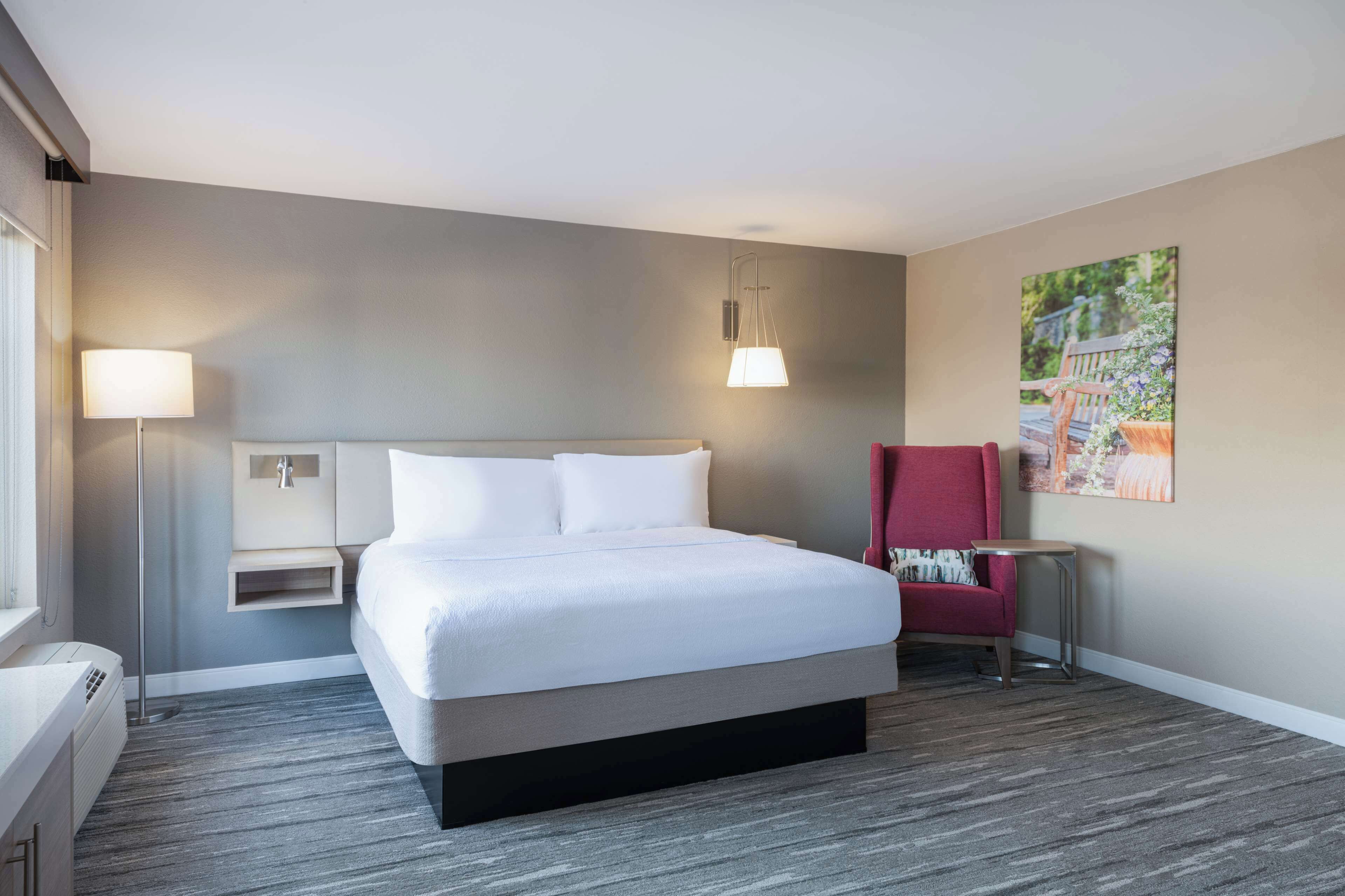 room, 1 king bed with sofa bed | premium bedding, in-room safe, iron/ironing board, free cots/infant beds