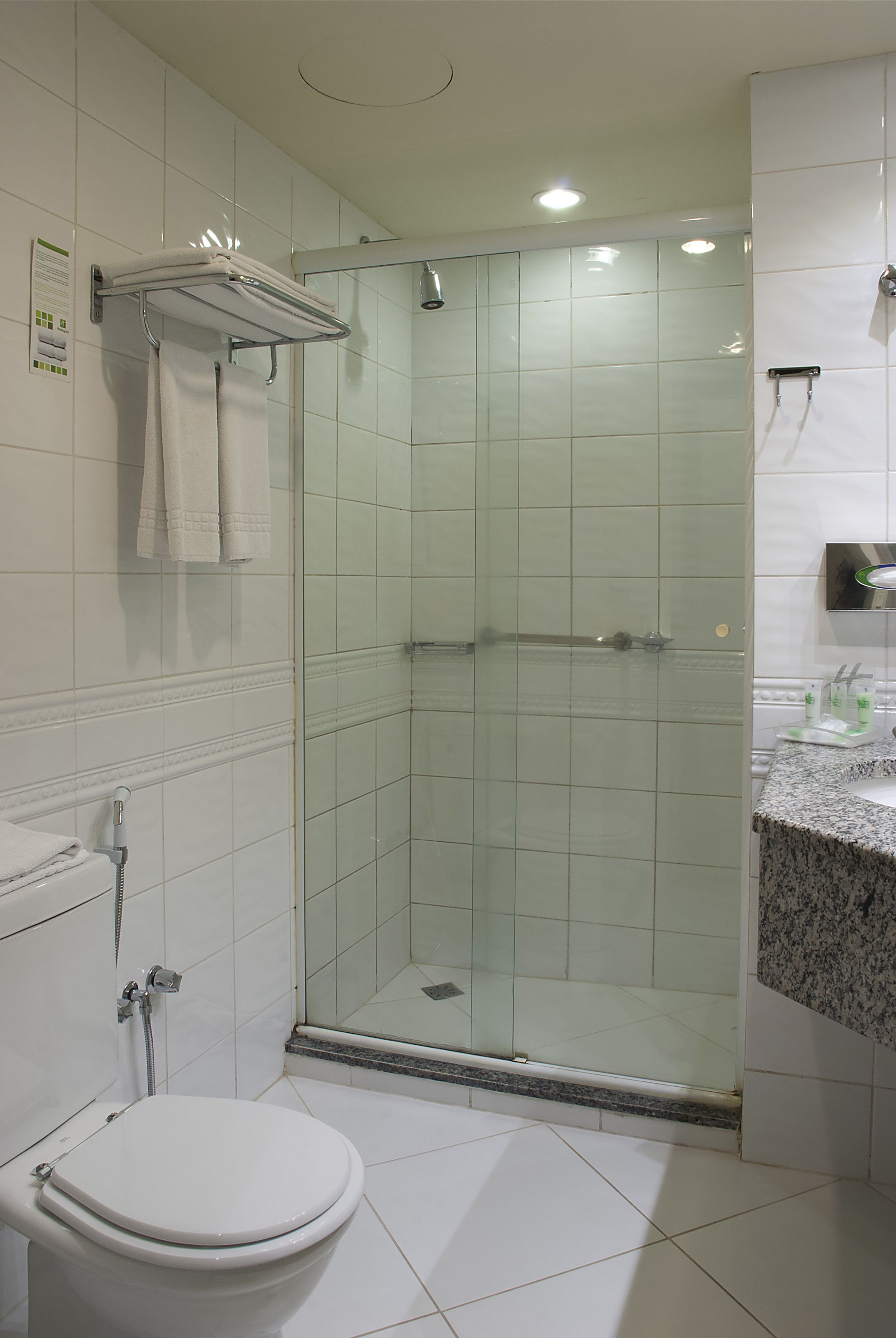 Un baño moderno con ducha de vidrio, inodoro blanco y encimera de granito con lavamanos.