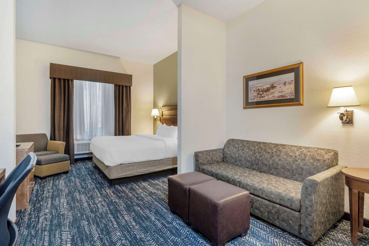 A hotel room with a bed, a sofa, a desk, and a chair.