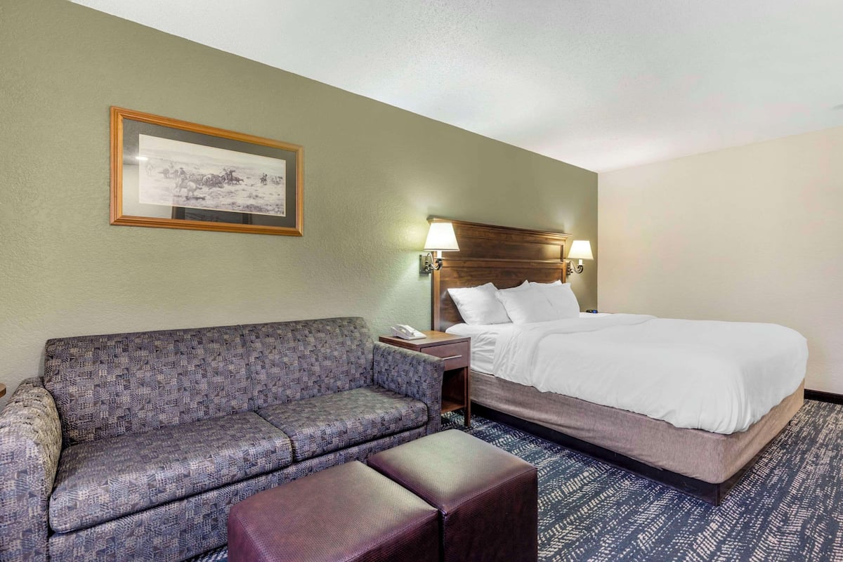 A hotel room with a bed, a sofa, a nightstand, and a lamp.