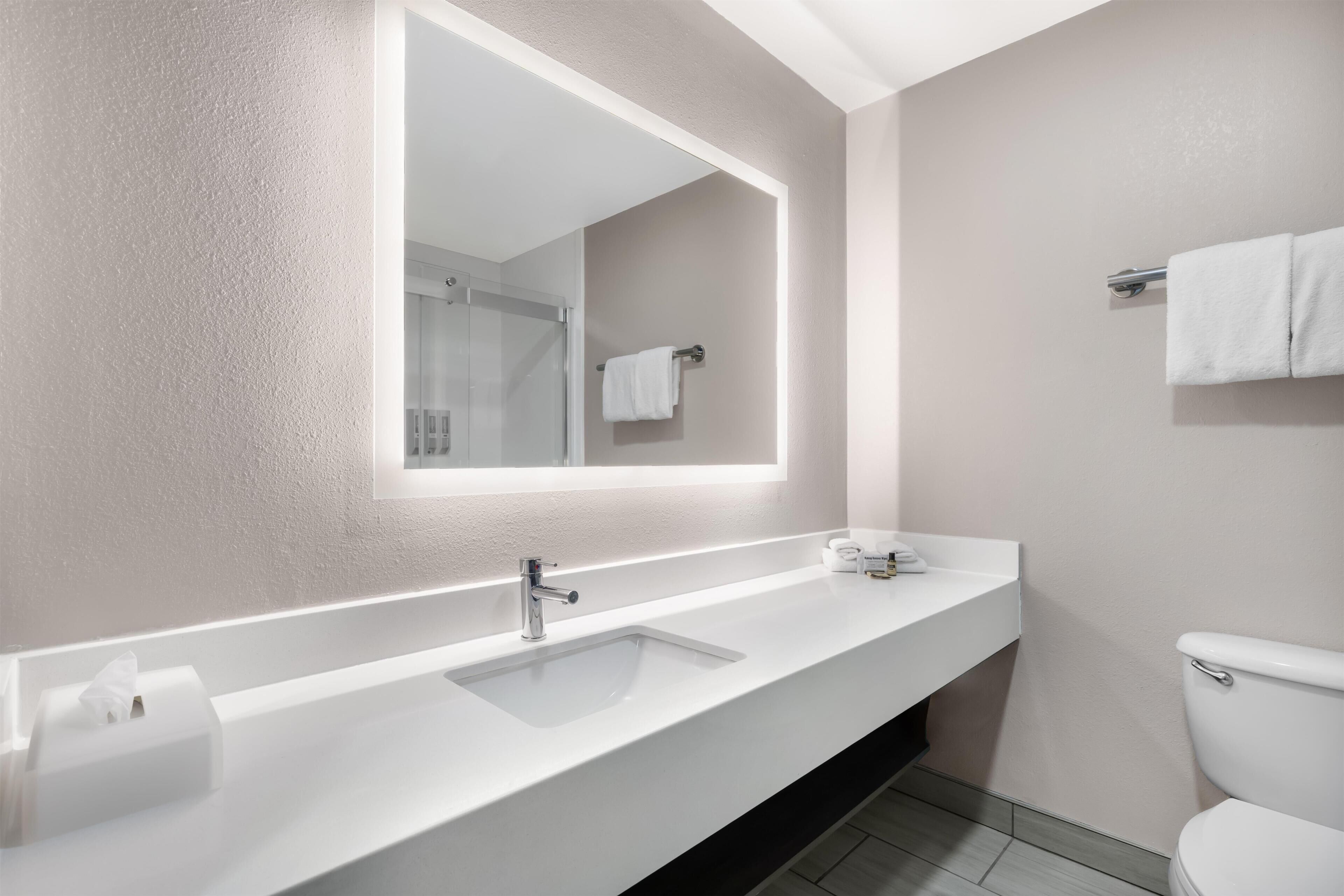 Suite, 1 très grand lit, non-fumeurs, coin cuisine (with Single Sofabed) | Salle de bain | Baignoire et douche séparées, articles de toilette gratuits