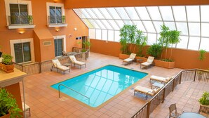 An indoor swimming pool with lounge chairs and potted plants. - iStay Hotel Ciudad Victoria (Ciudad Victoria)