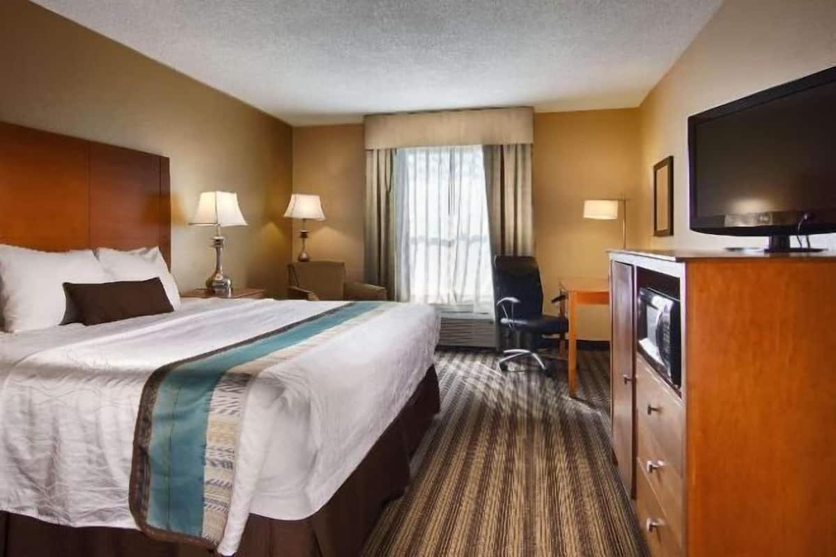 Escritorio, tabla de planchar con plancha, wifi y ropa de cama