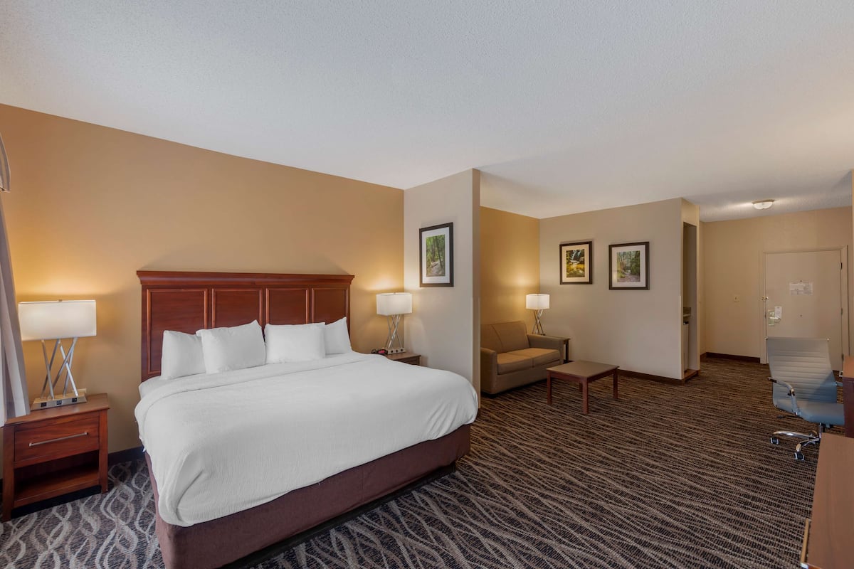 Standard Room, 1 King Bed, Non Smoking, Refrigerator & Microwave | In-room safe, laptop workspace, iron/ironing board, WiFi