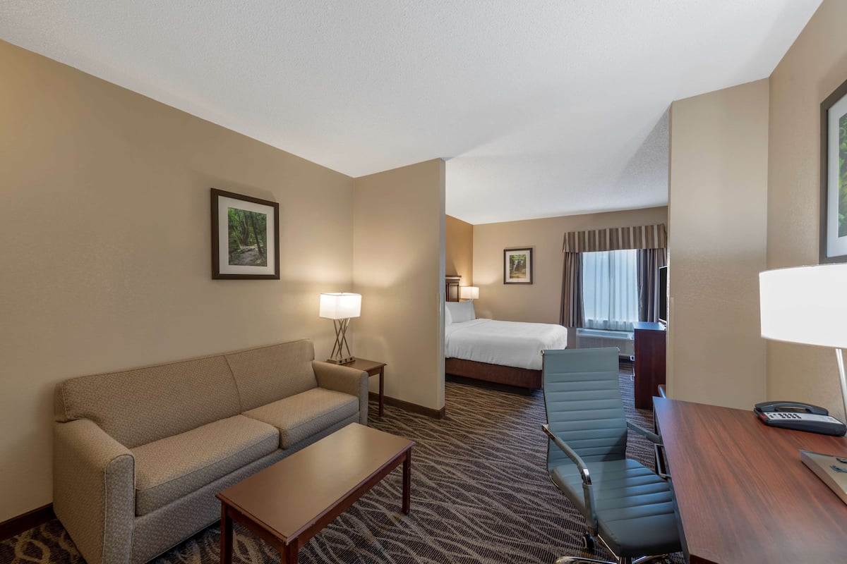 Executive Room, 1 King Bed, Non Smoking, Refrigerator & Microwave (with Sofabed) | In-room safe, laptop workspace, iron/ironing board, WiFi