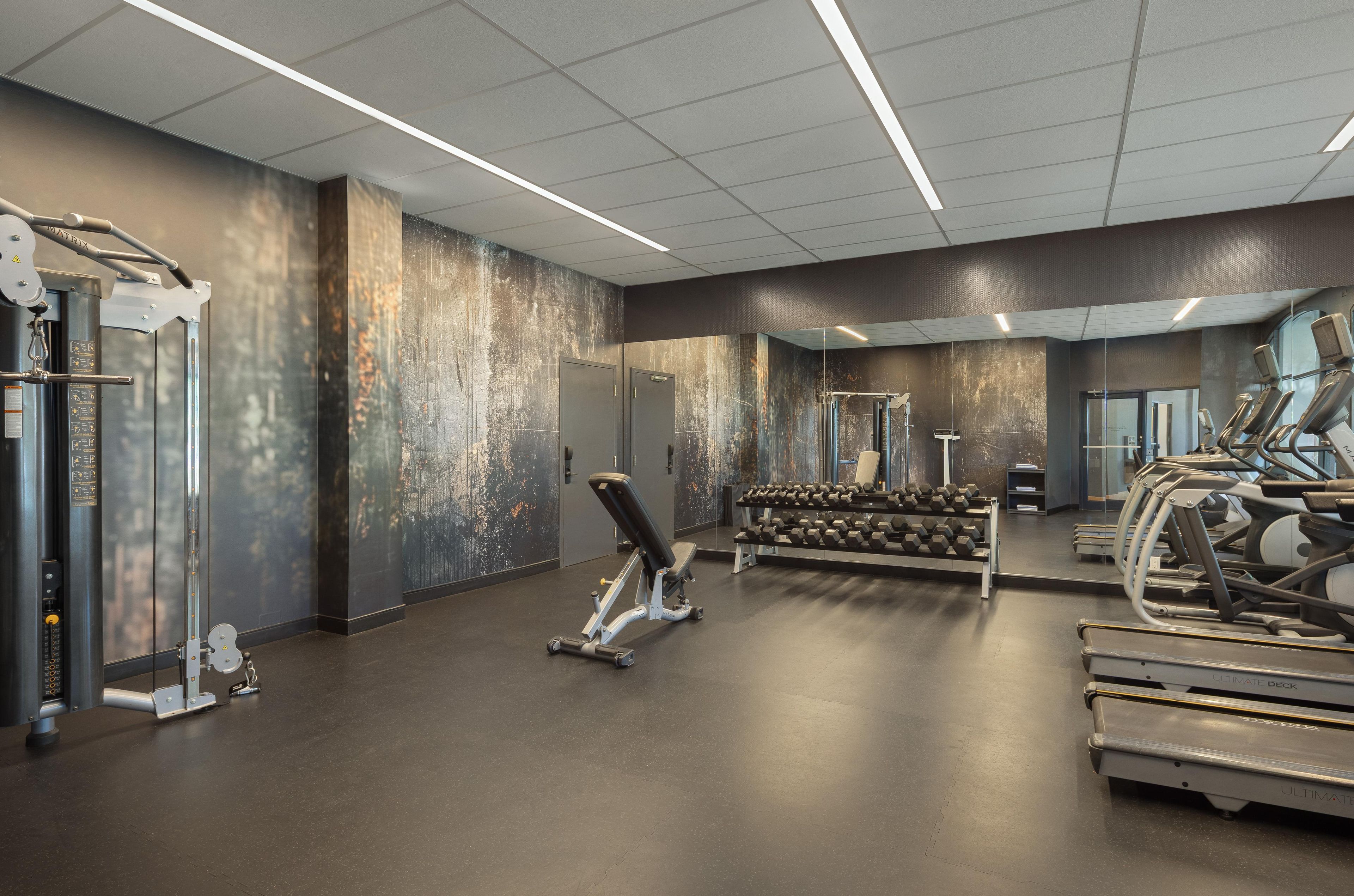 Un gimnasio con equipo de ejercicio, una banca y mancuernas.