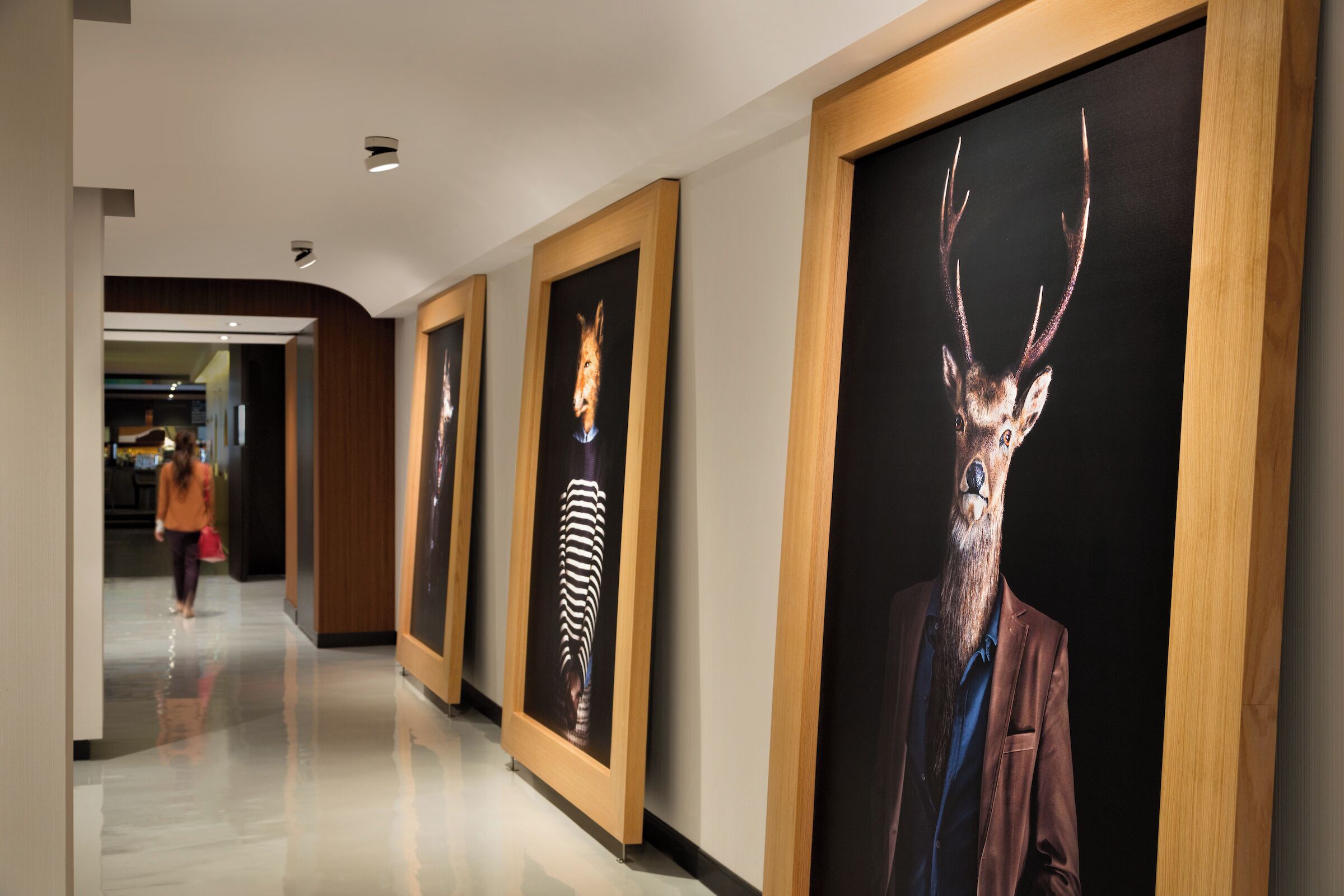 Foto - Hotel PUR, Quebec, a Tribute Portfolio Hotel