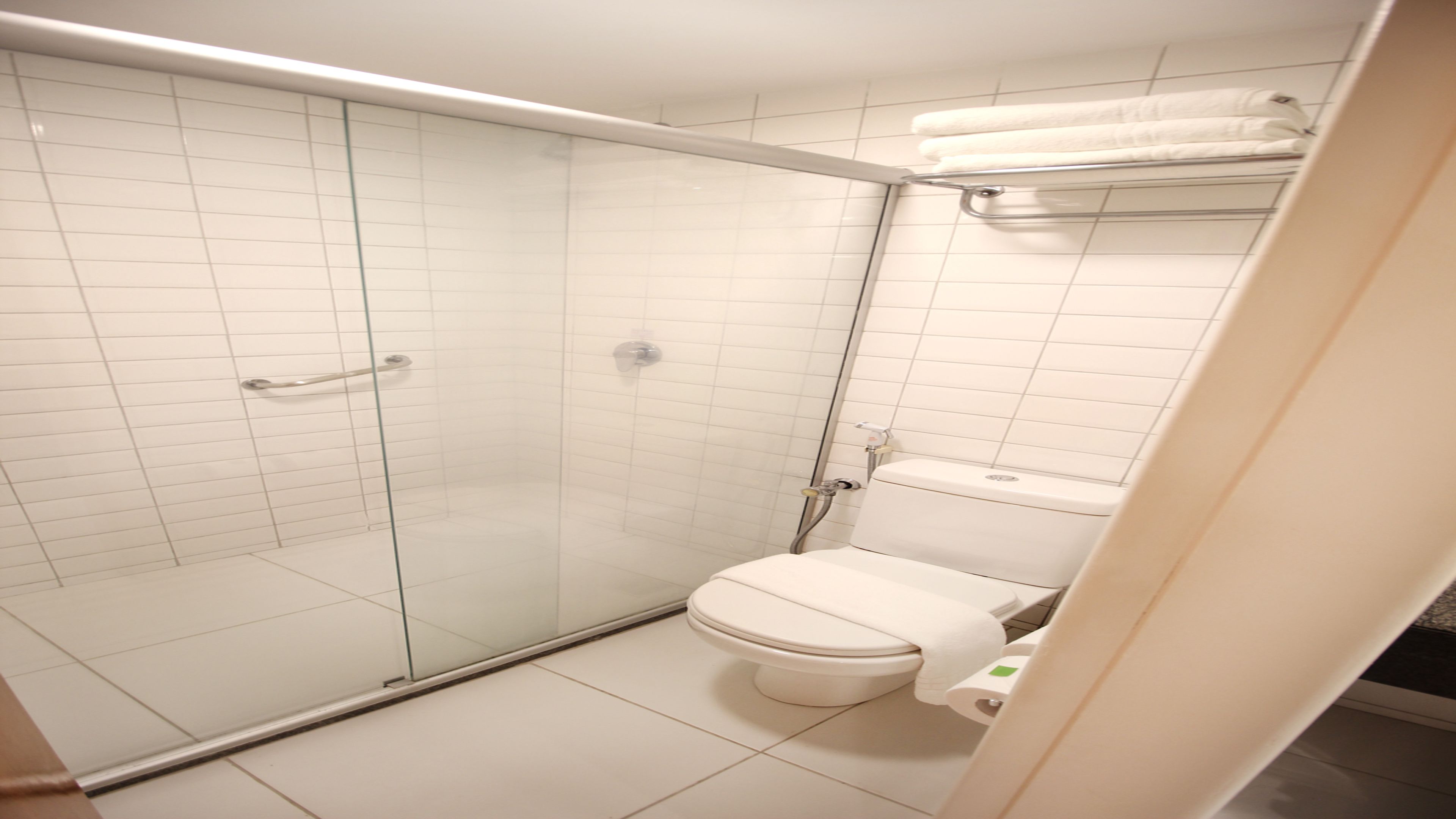 A modern bathroom with a glass-enclosed shower, a white toilet, and a towel rack.