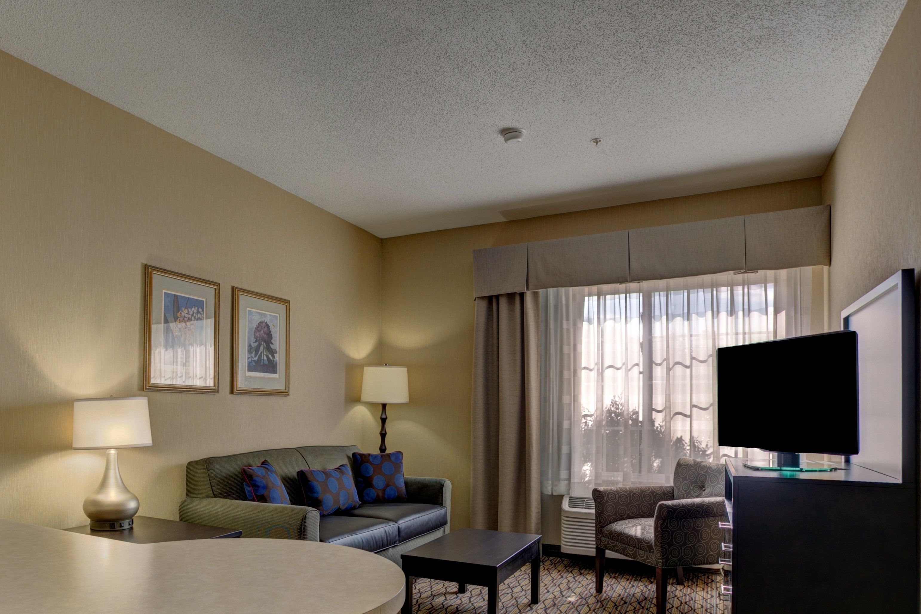 A hotel room with a sofa, a chair, a TV, a lamp, and a window with curtains.