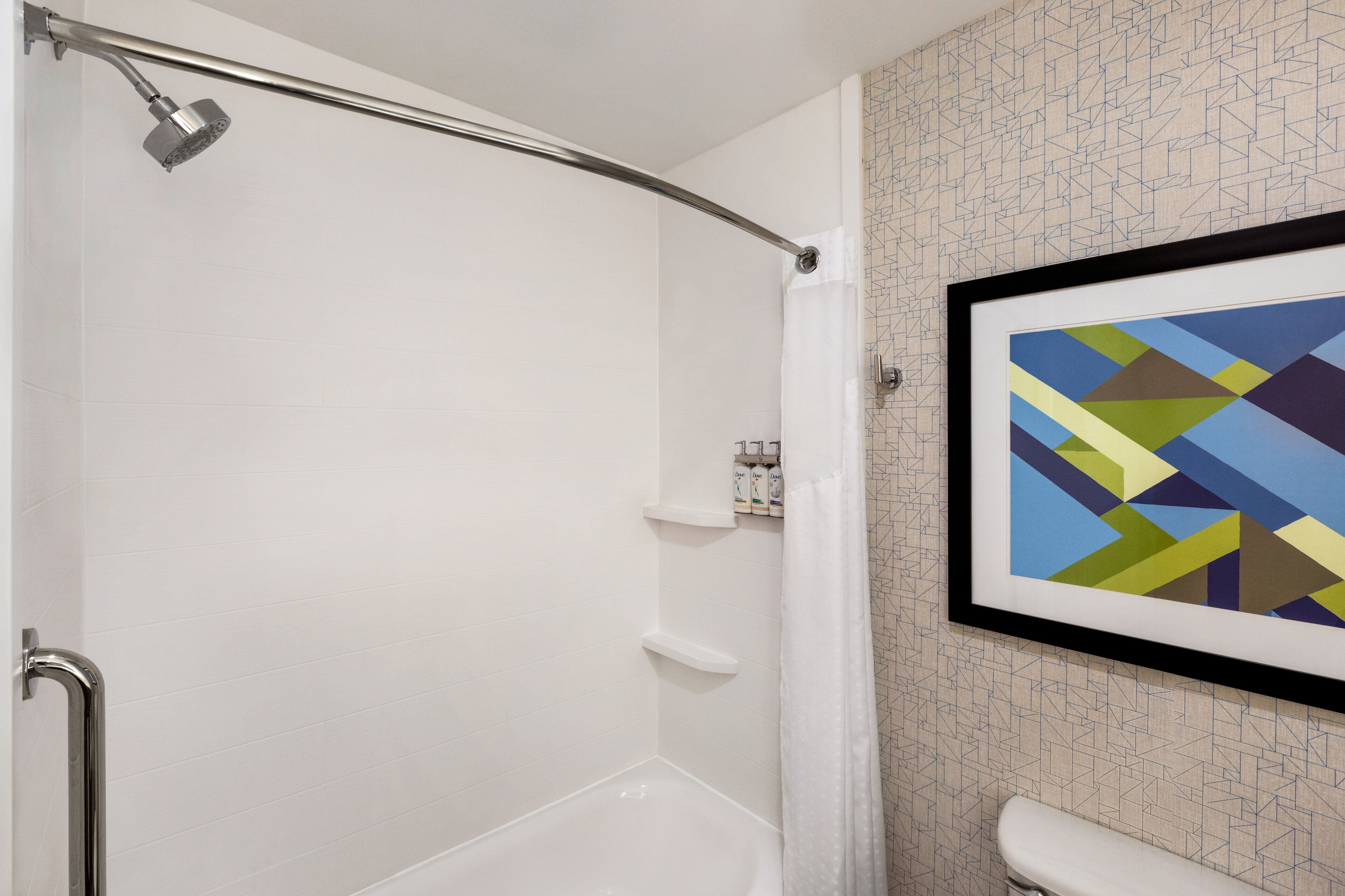 Une salle de bain avec une douche, des toilettes et un tableau abstrait encadré accroché au mur.