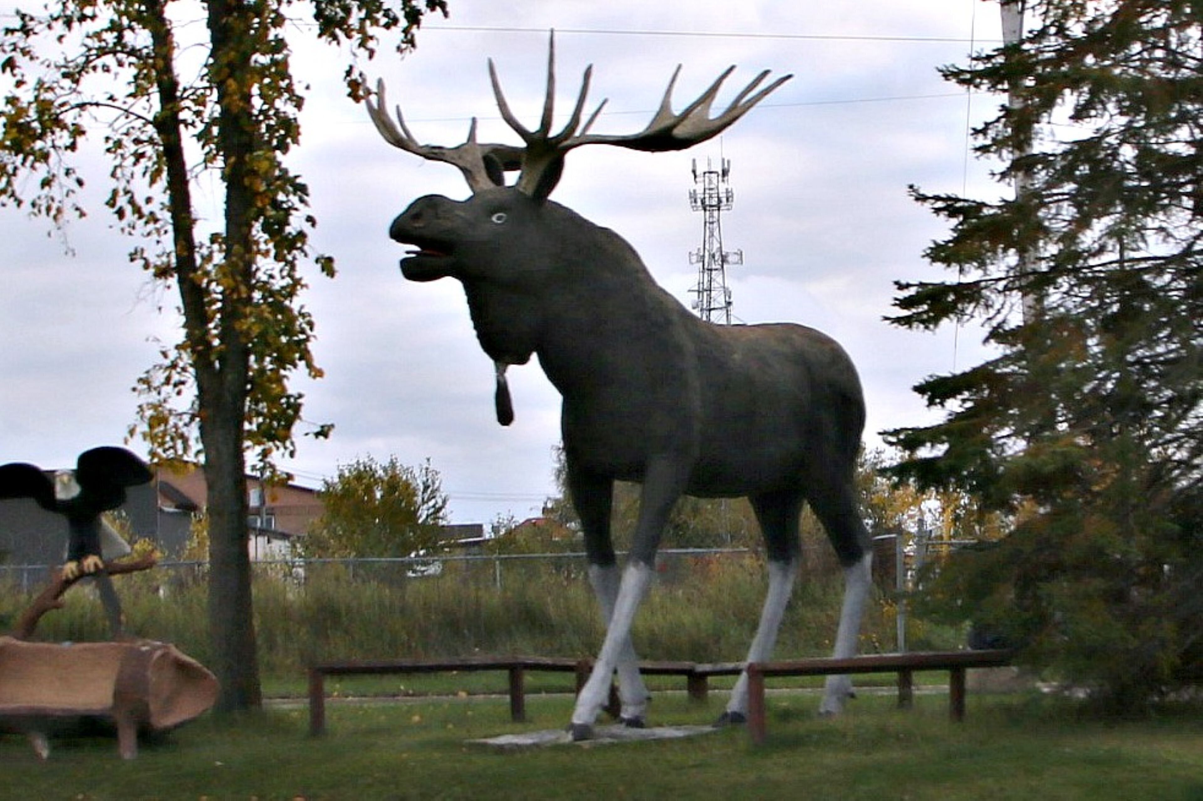 Une grande statue d’orignal se dresse dans une zone herbeuse, avec des arbres et une clôture en arrière-plan.