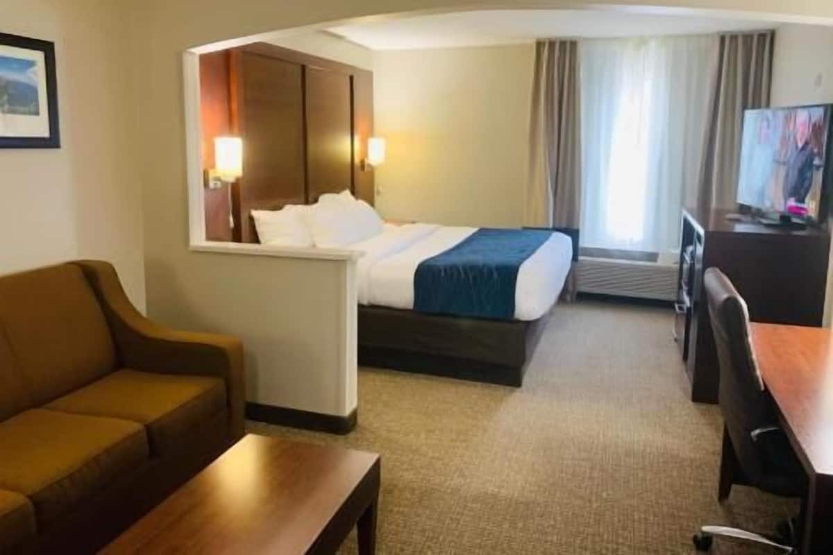 Una habitación de hotel con cama, escritorio, silla, sofá y televisor.