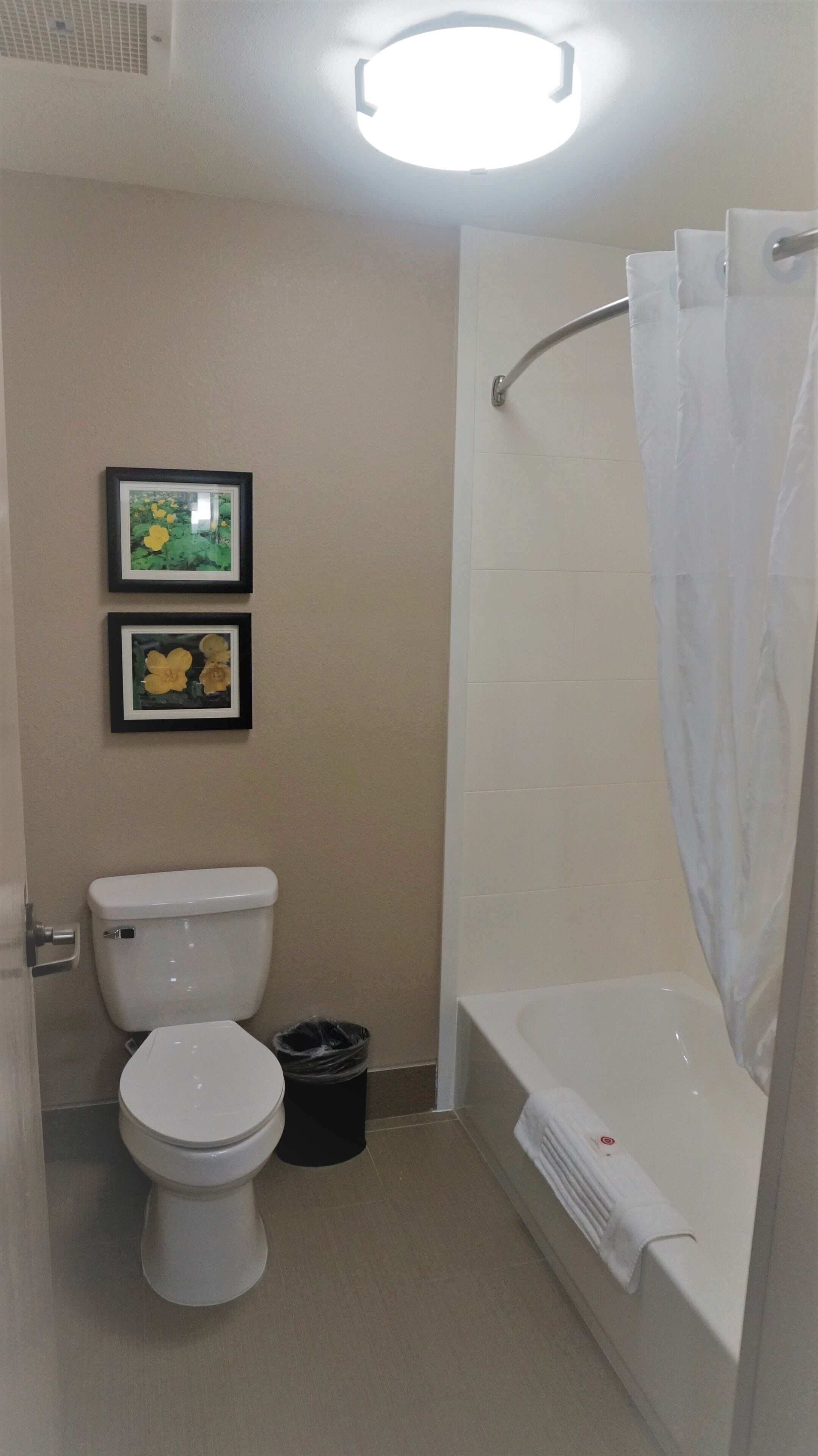 A small bathroom with a toilet, a bathtub, and a shower curtain. There are two framed pictures on the wall.