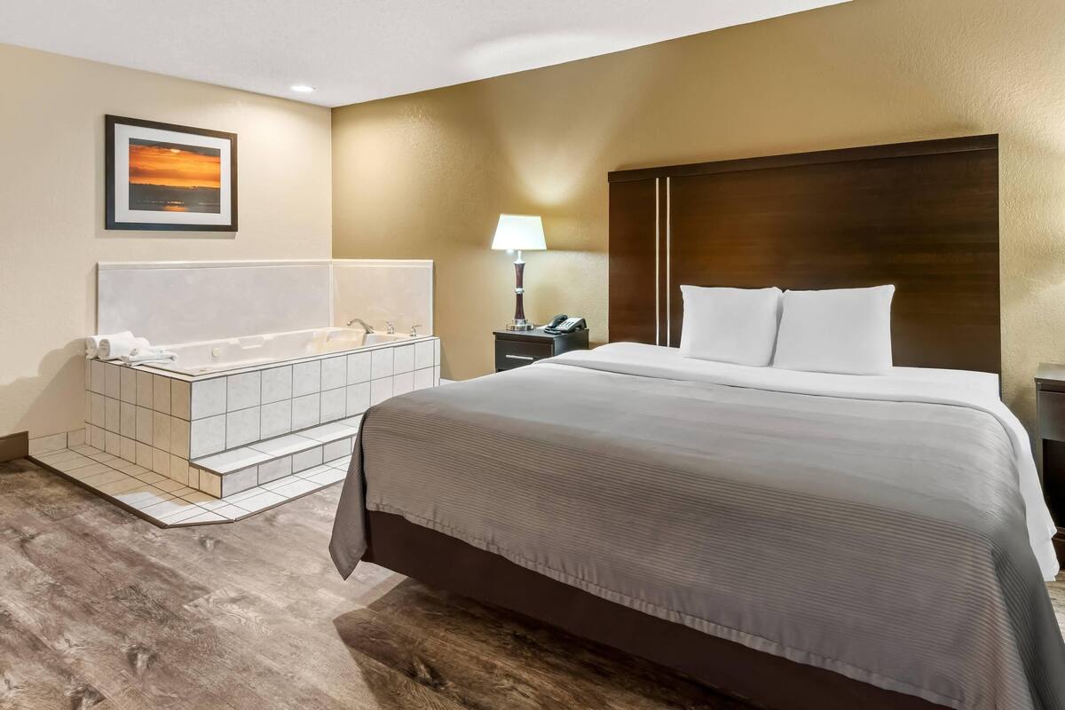 Habitación de hotel con una cama grande, una bañera, una mesita de noche con lámpara y un cuadro en la pared.