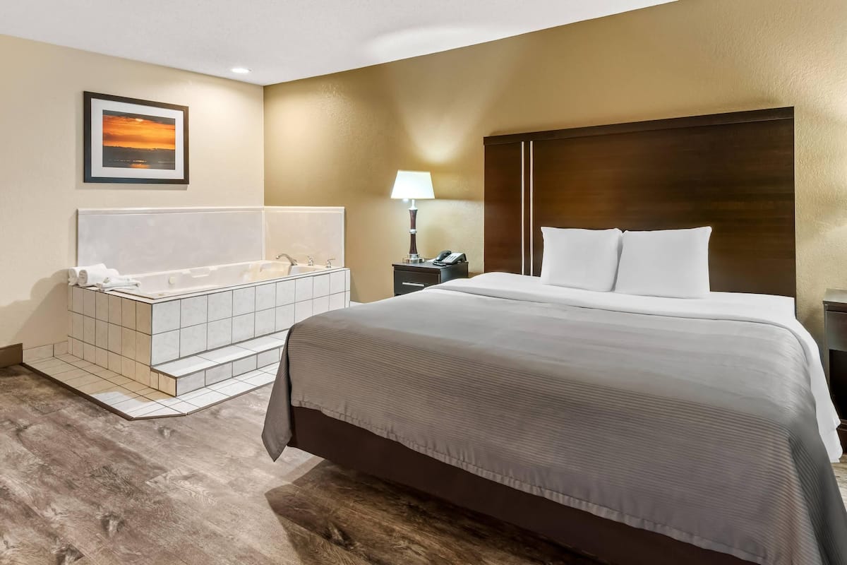 A hotel room with a large bed, a bathtub, a nightstand with a lamp, and a framed picture on the wall.
