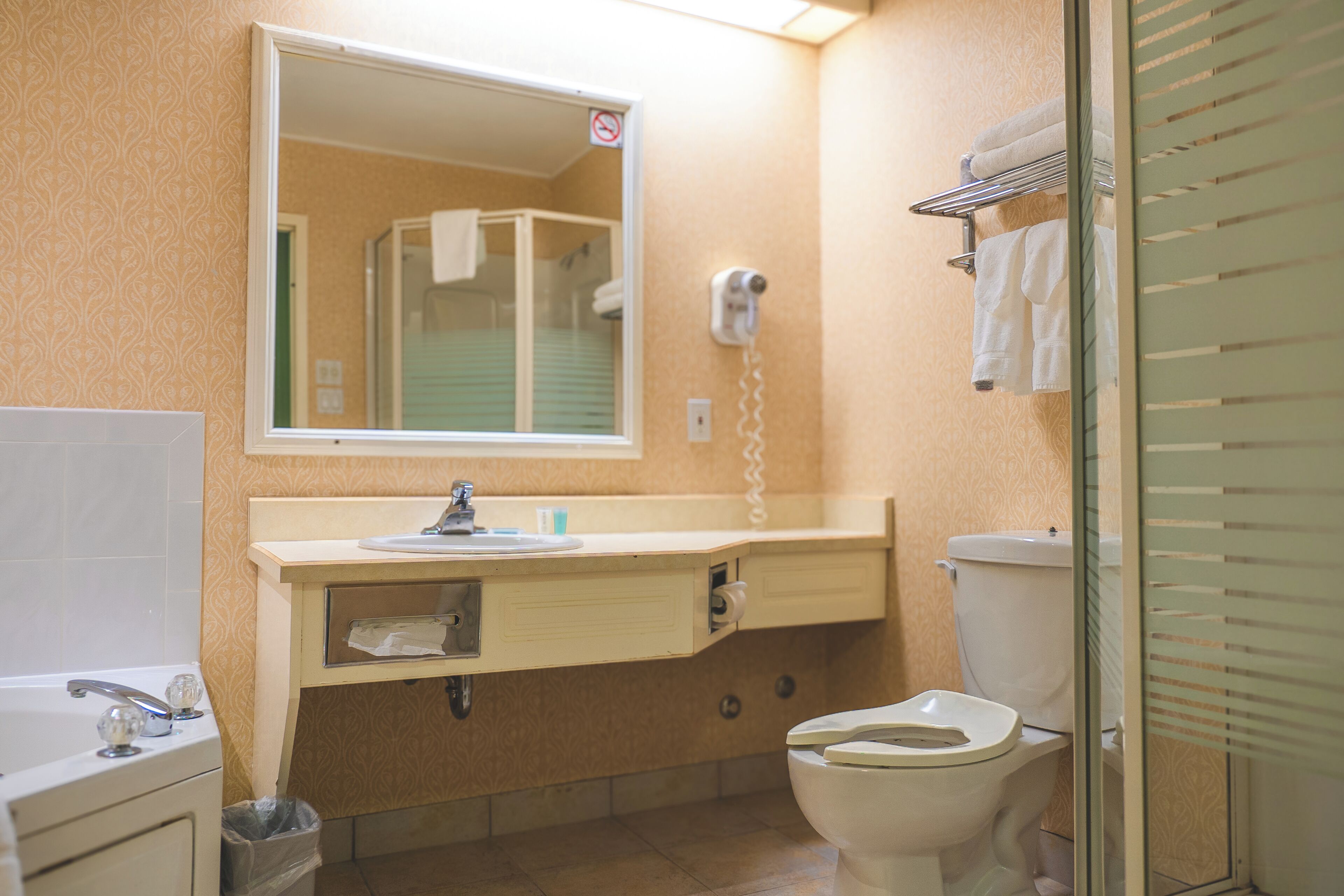 Une salle de bain avec des toilettes, un lavabo et un miroir.
