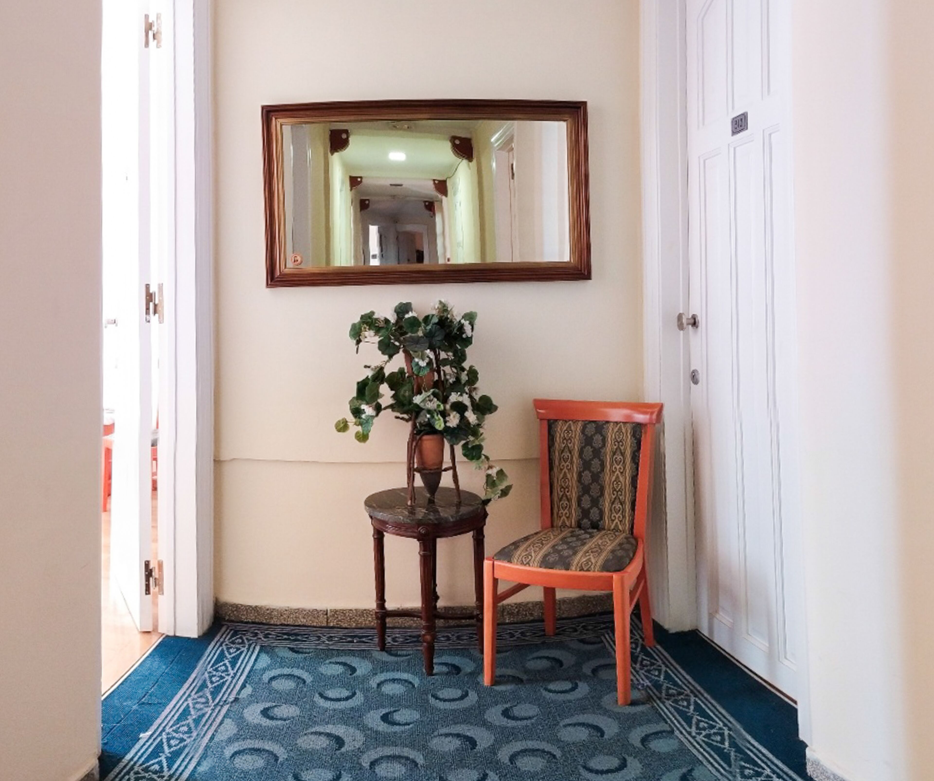 Un pasillo con una silla de madera, una planta en maceta y un espejo en la pared.