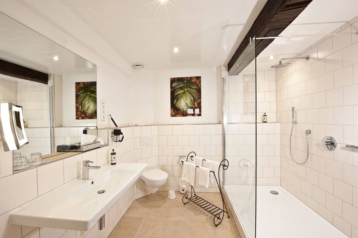 double room (flair plus) | bathroom | free toiletries, hair dryer, towels