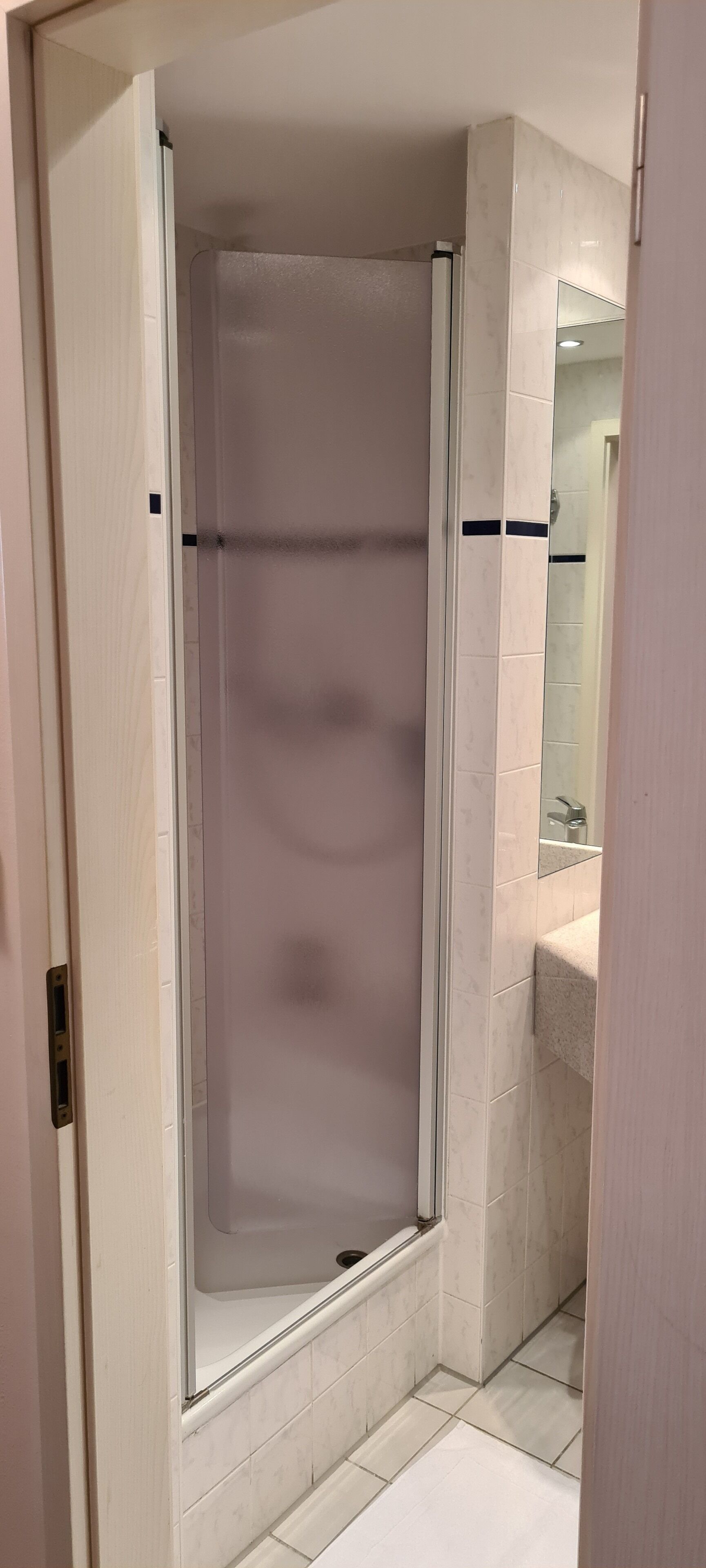 A bathroom with a shower enclosure, a sink, and a mirror.