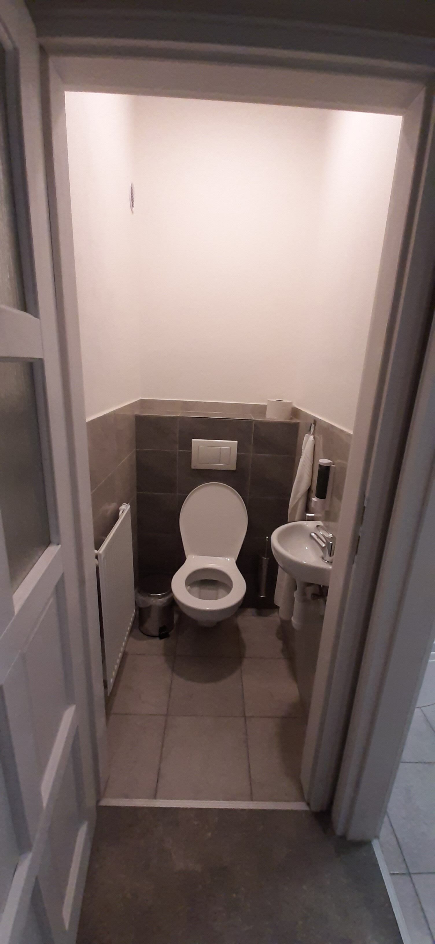 A small, narrow bathroom with a toilet, sink, and a trash bin.