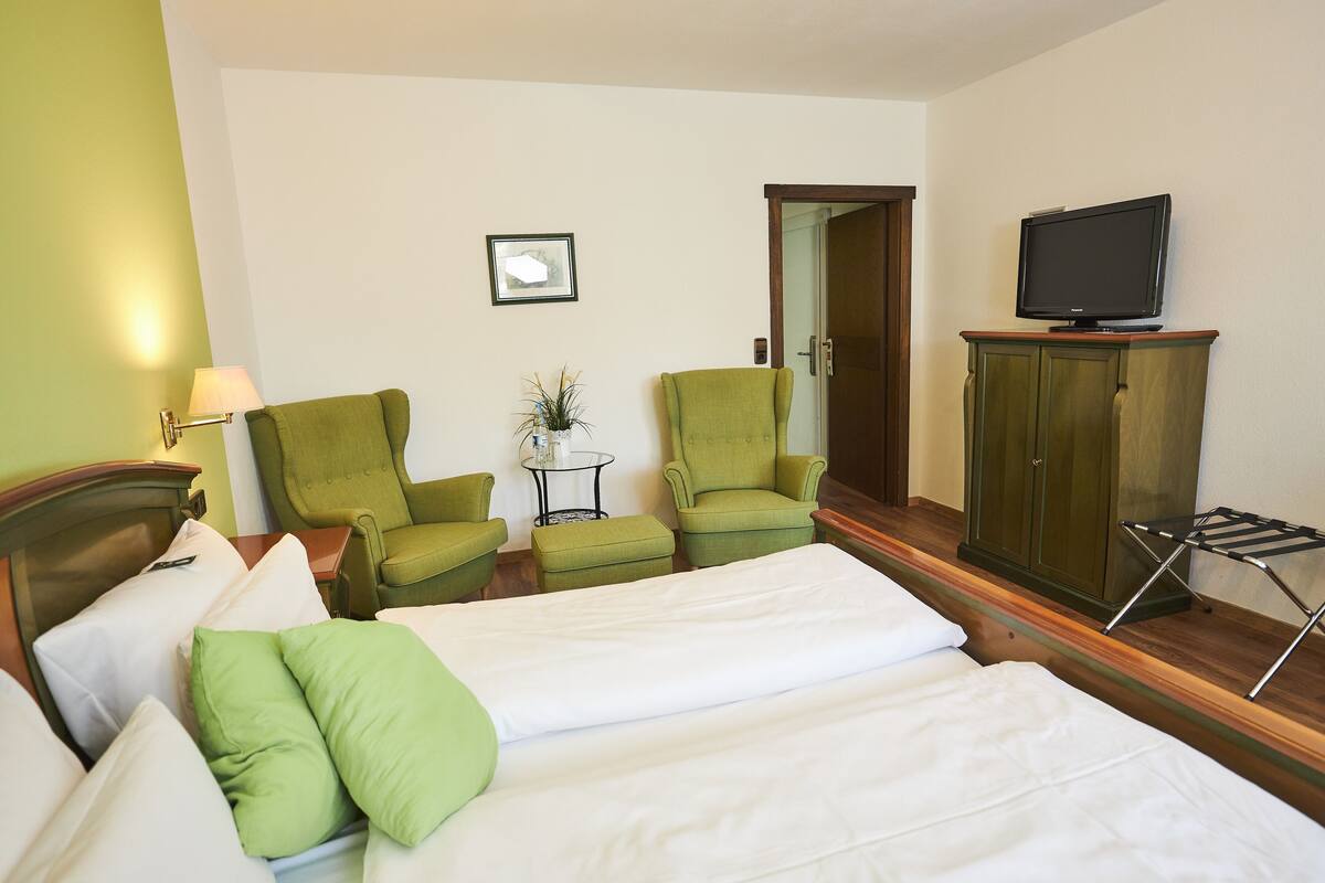 Habitación de hotel con dos camas, sillas verdes, un televisor y una mesita con una planta.