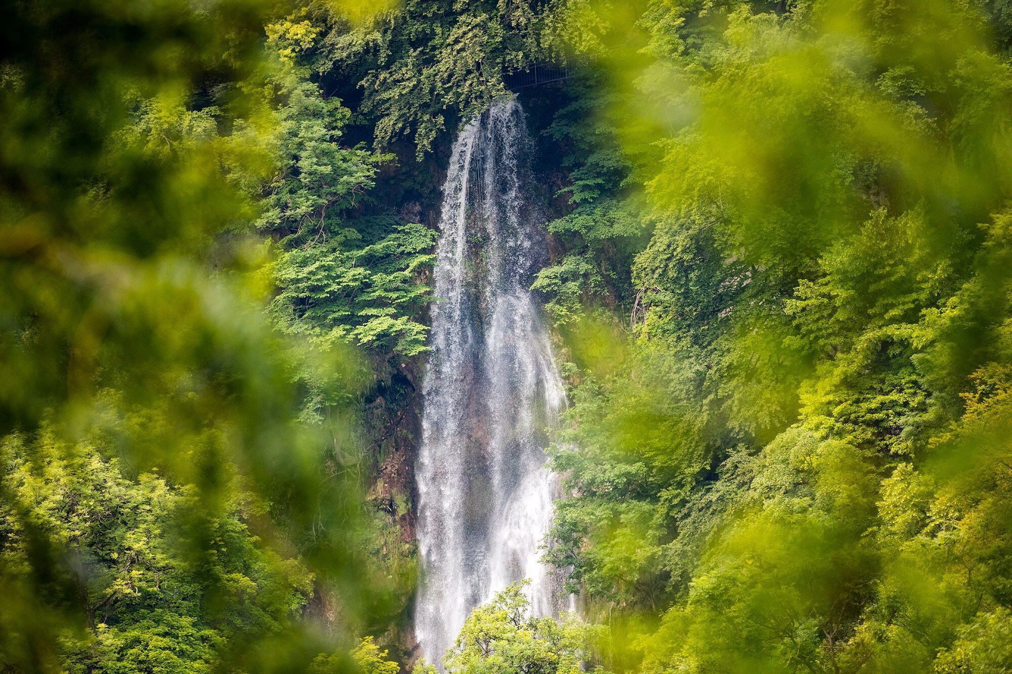 A waterfall surrounded by lush greenery.