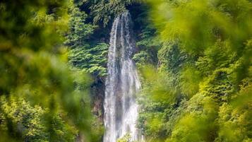 A waterfall surrounded by lush greenery.