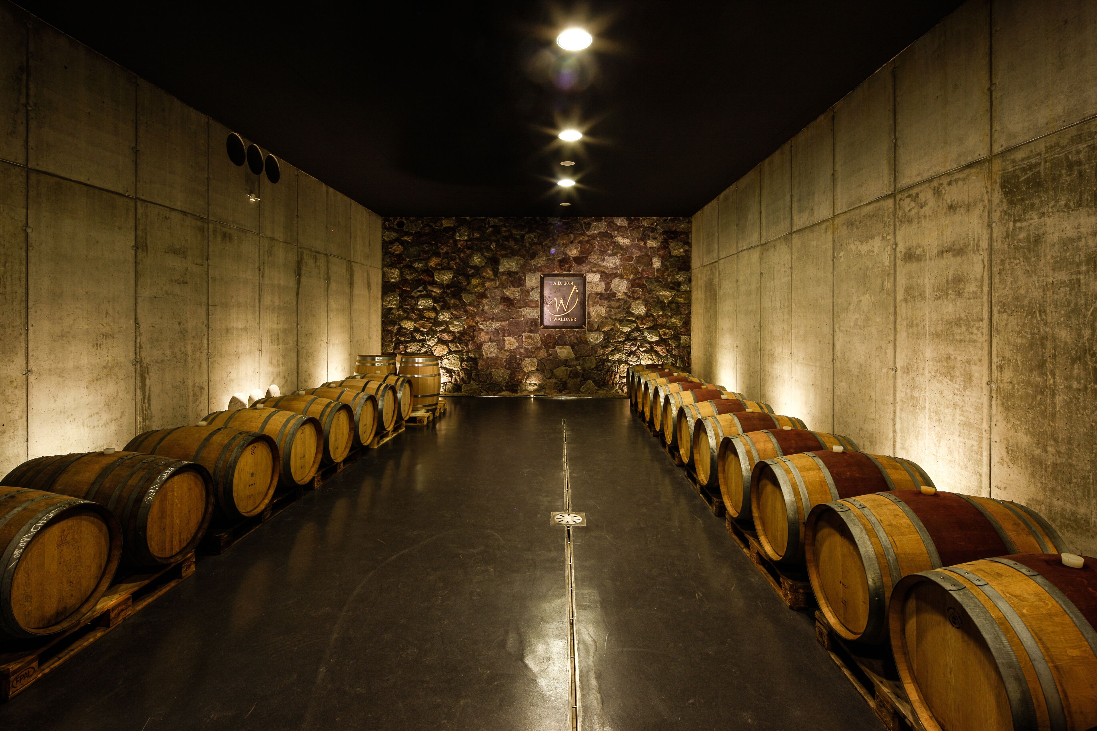 A row of wooden wine barrels in a dimly lit room with a stone wall and a framed sign on the wall.