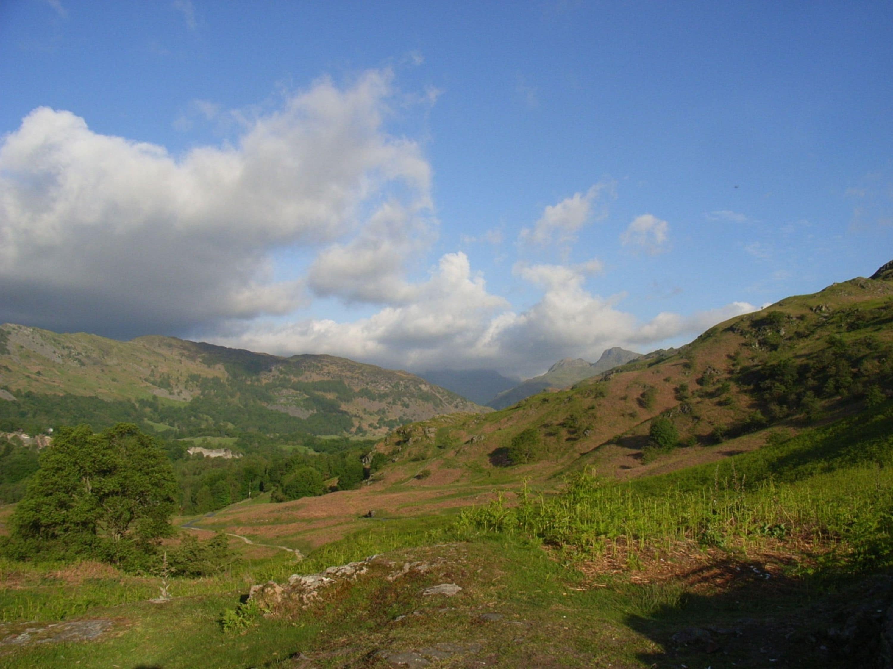 Un paysage montagneux avec des collines verdoyantes et un ciel dégagé.