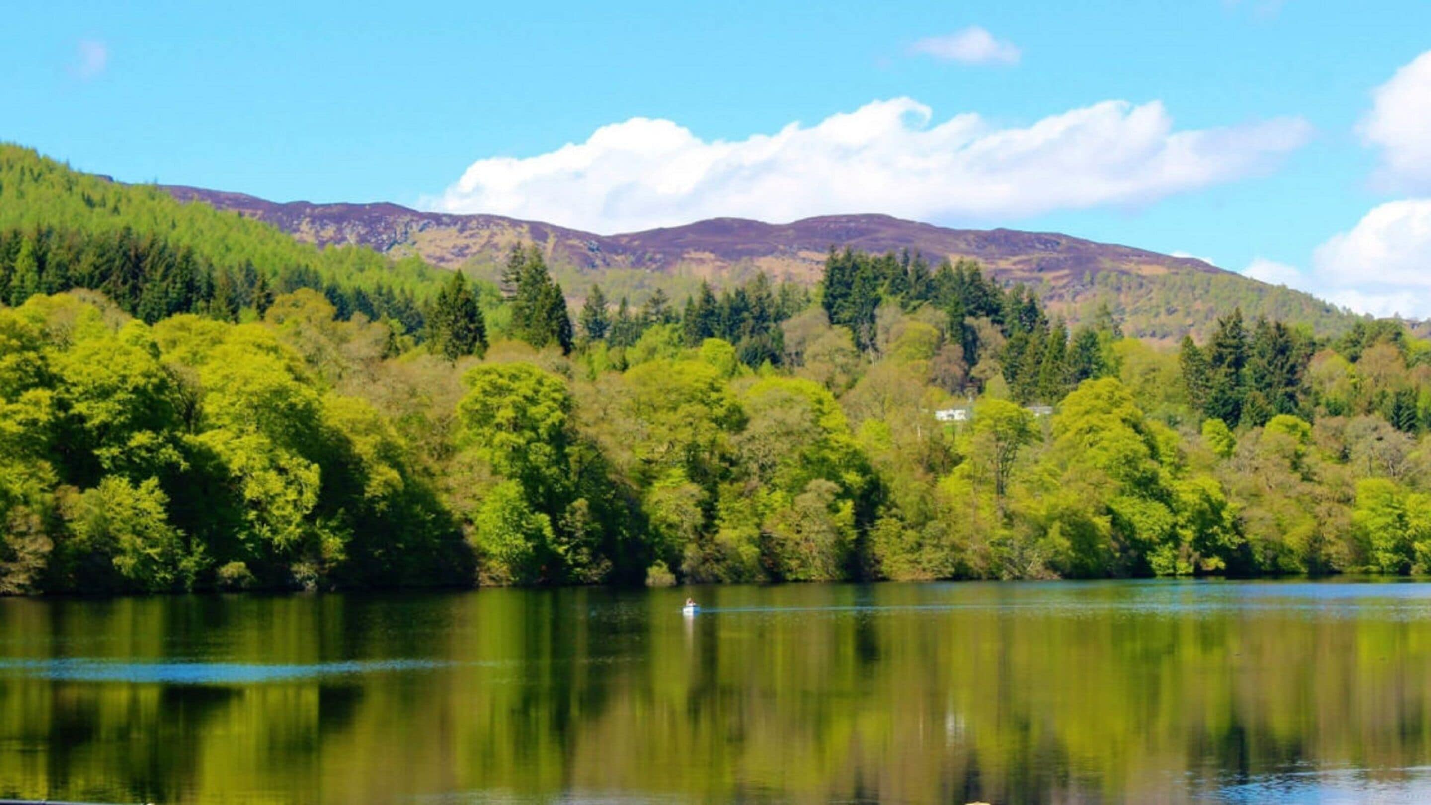 A lake surrounded by dense green forest and hills.