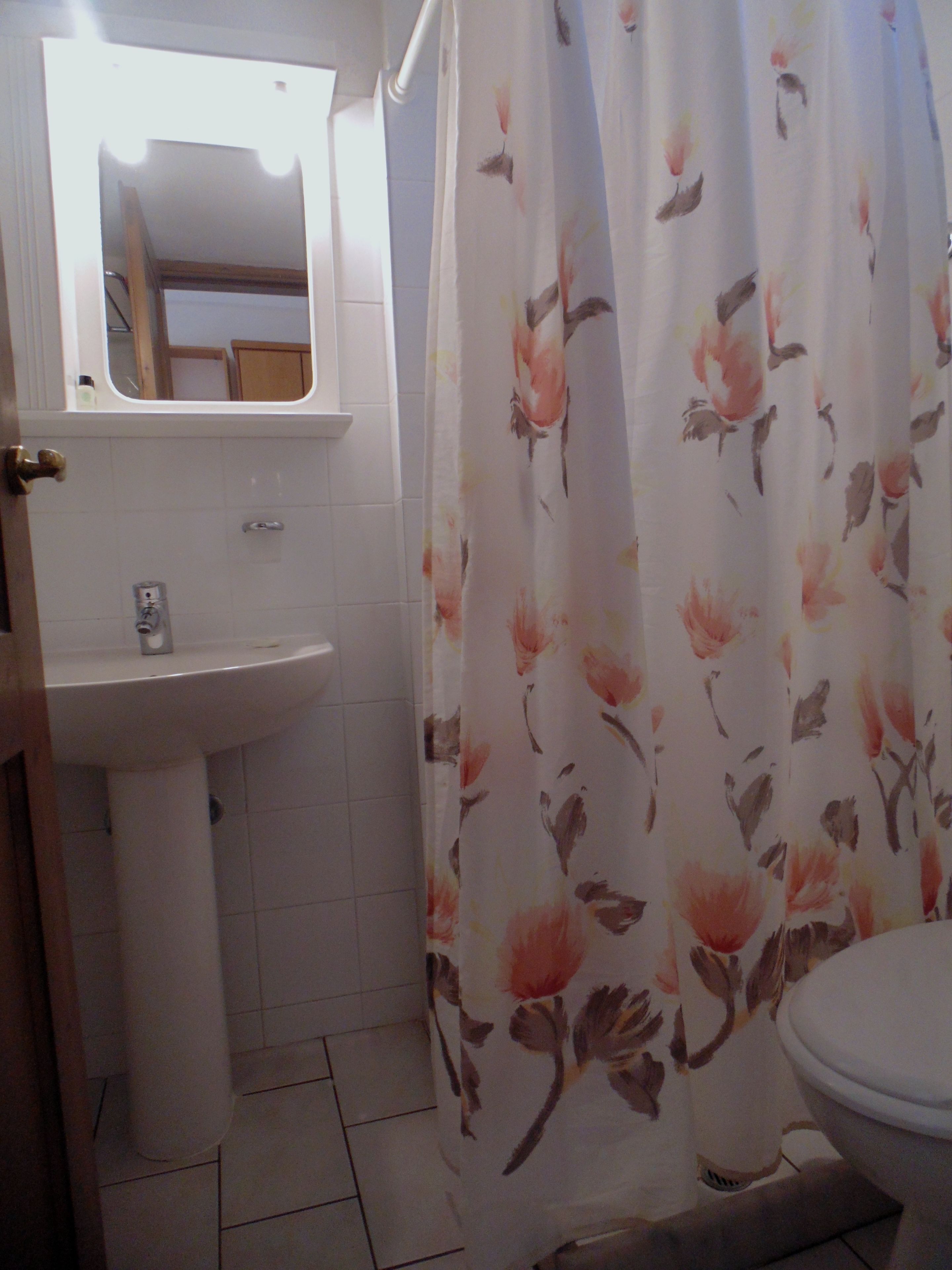 Un baño con un lavamanos blanco, un espejo encima y un inodoro. Se ve parcialmente una cortina de ducha con estampado floral.