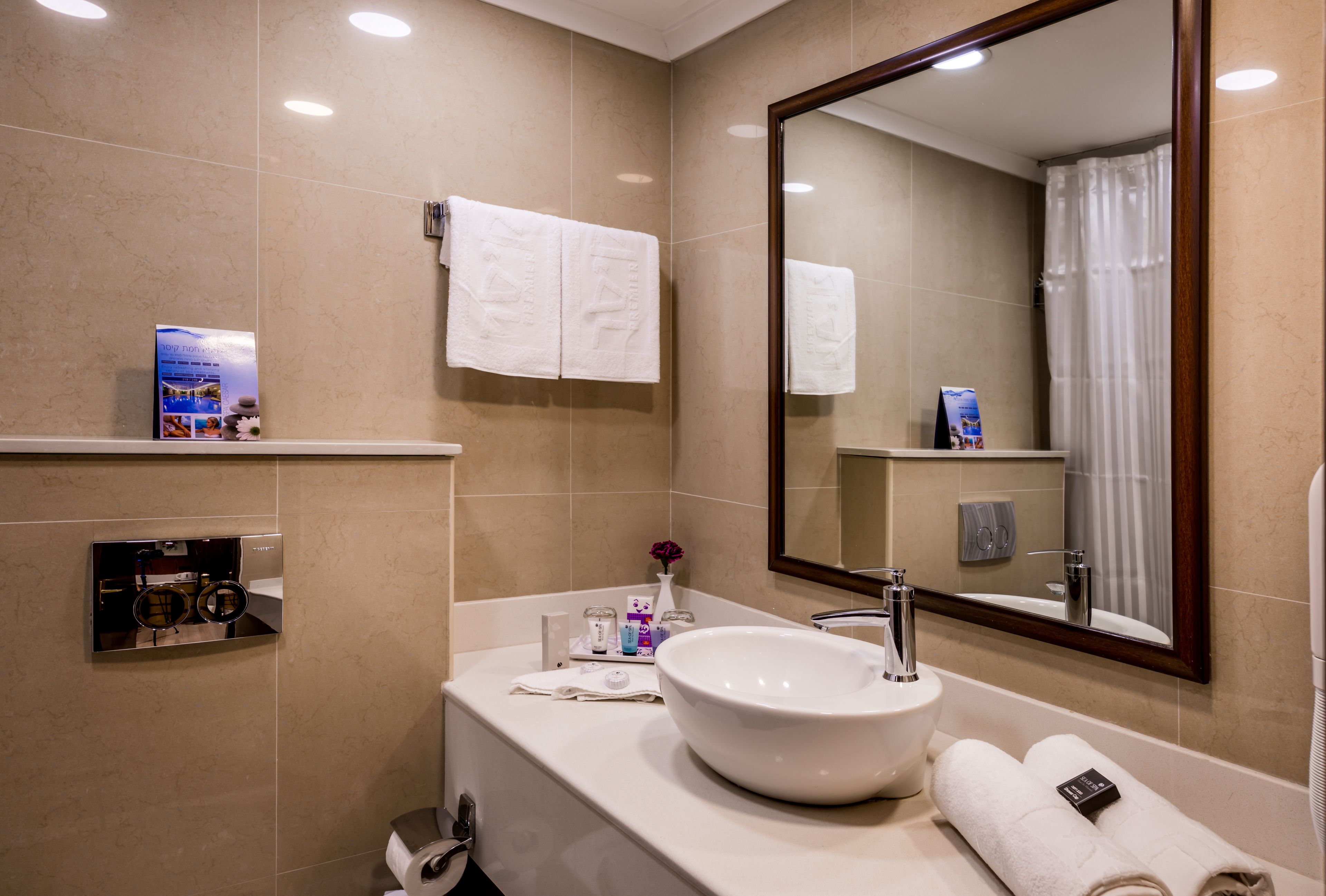 premier room, lake view | bathroom sink