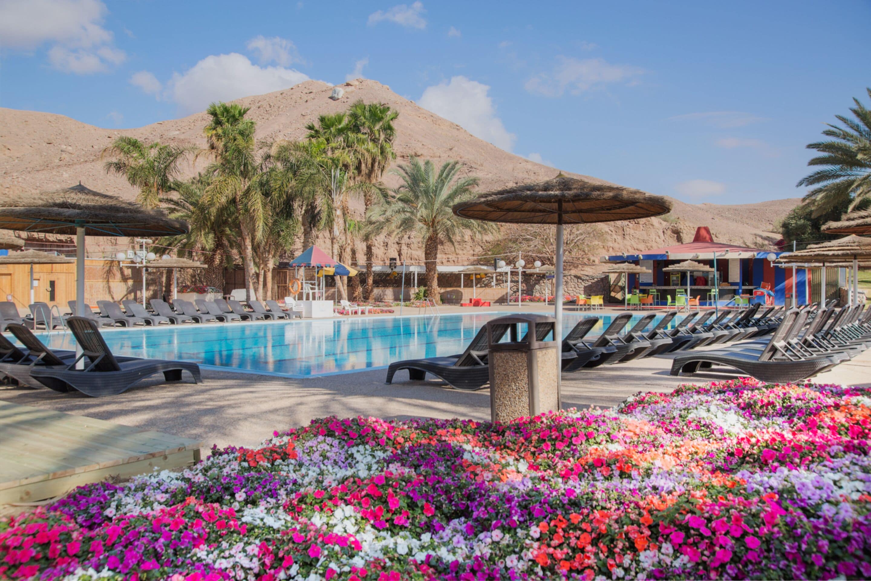 Outdoor pool, pool umbrellas, pool loungers