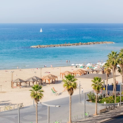A beach with palm trees, umbrellas, and a pier.