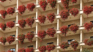 A multi-story building with balconies adorned with red flowers. - Prima Kings Hotel (Jerusalem)