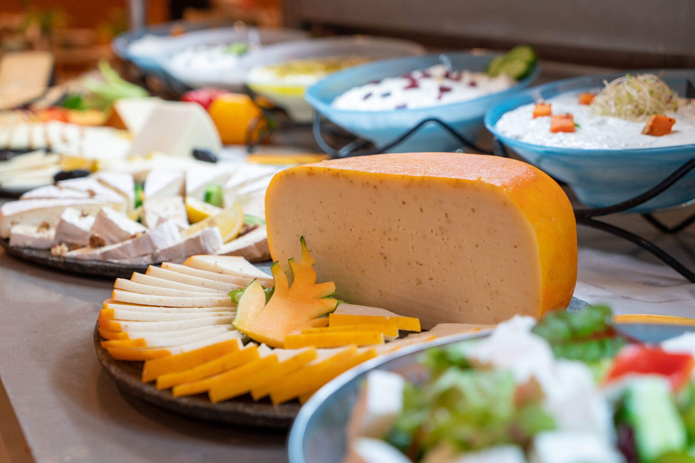 A buffet with various dishes including cheese, salads, and other food items.