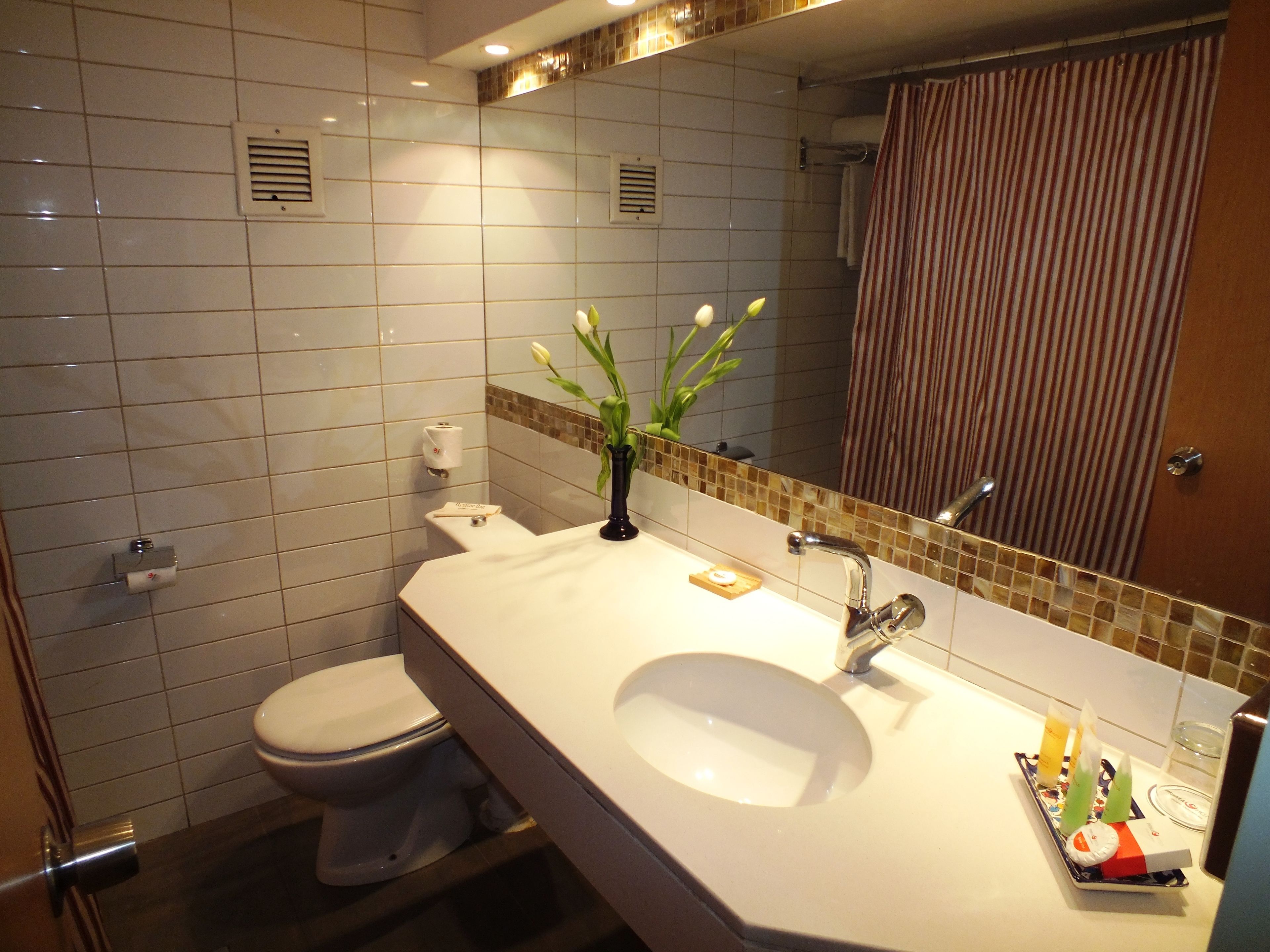 A bathroom with a white sink, mirror, and toilet. There is a towel rack, a soap dispenser, and a small plant on the sink.