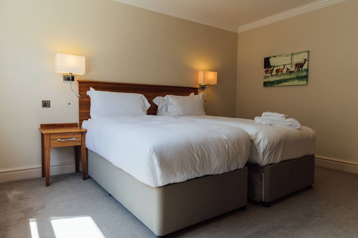 Una habitación de hotel con una cama grande, dos mesitas de noche y un cuadro en la pared.