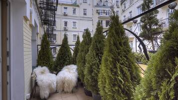 Executive Room | Terrace/patio