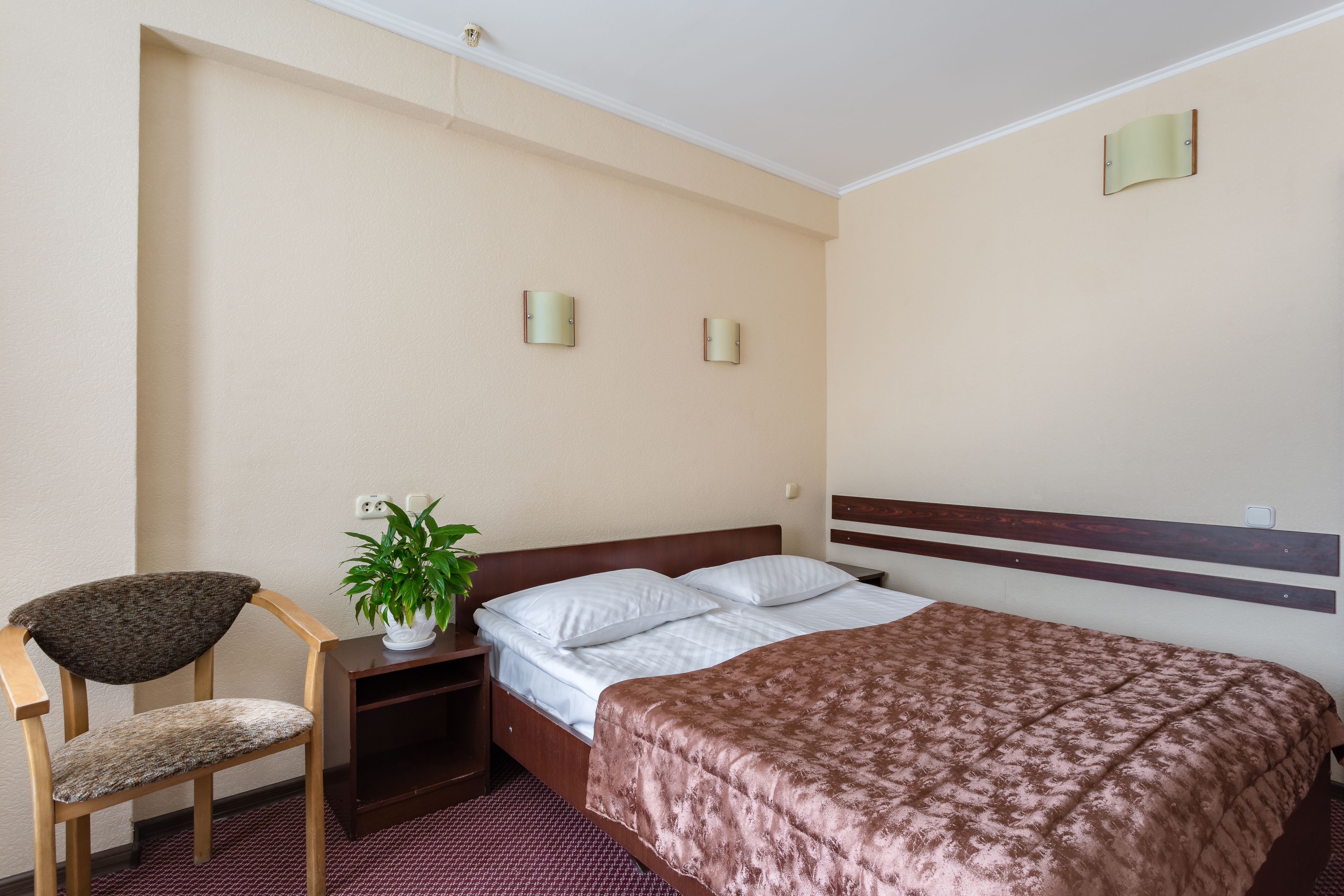 A hotel room with a bed, a chair, a nightstand, and a potted plant.