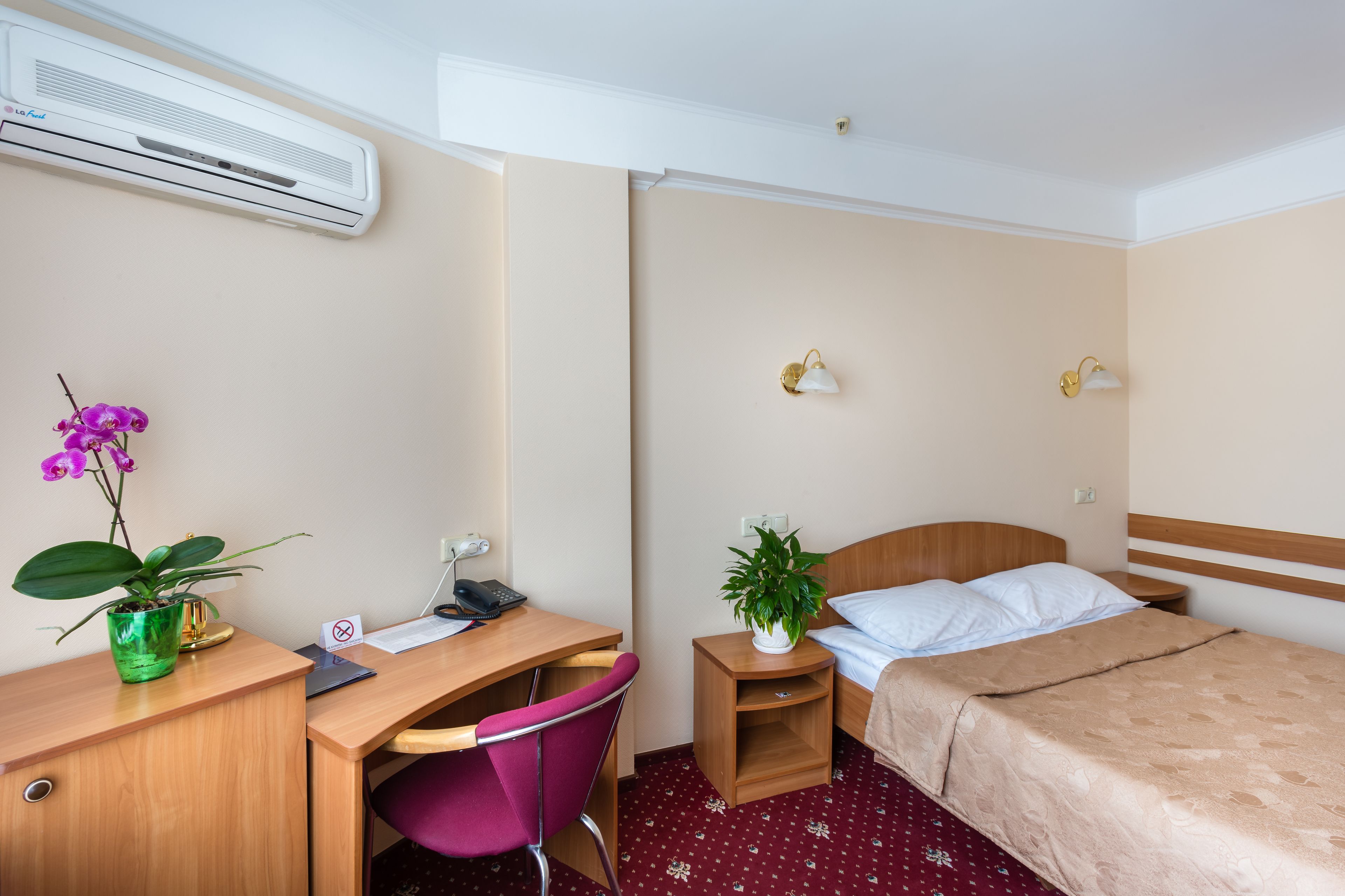 A hotel room with a desk, chair, bed, bedside tables, and a potted plant.